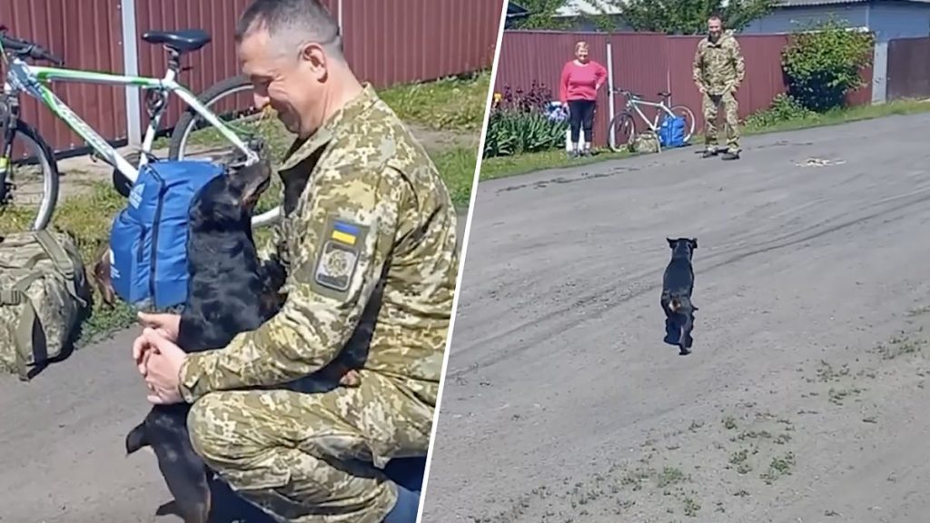 Прикордонник зустрівся з вірним псом після 2 років полону