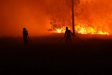 У Полтавській області ліквідували масштабну лісову пожежу. Її гасили майже два тижні